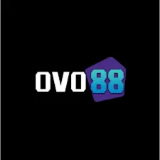 OVO88 - Aplikasi Utilitas Terbaik untuk Kebutuhan Sehari-hari